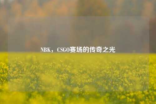 NBK,CSGO赛场的传奇之光