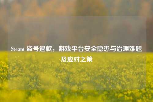 Steam 盗号退款,游戏平台安全隐患与治理难题及应对之策
