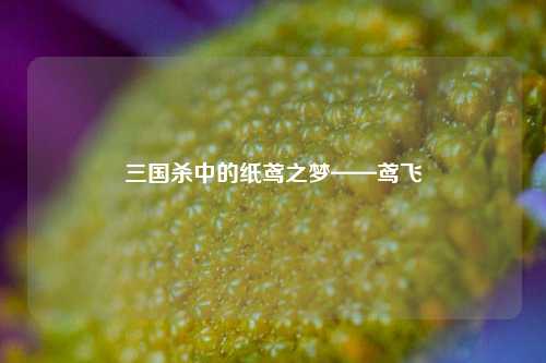 三国杀中的纸鸢之梦——鸢飞