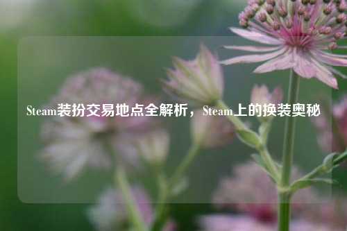 Steam装扮交易地点全解析,Steam上的换装奥秘