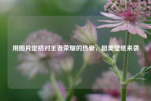 用图片定格对王者荣耀的热爱,超美壁纸来袭