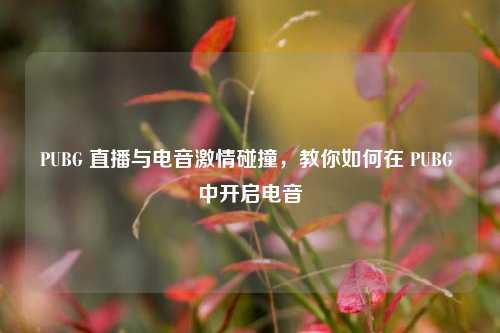 PUBG 直播与电音***碰撞,教你如何在 PUBG 中开启电音