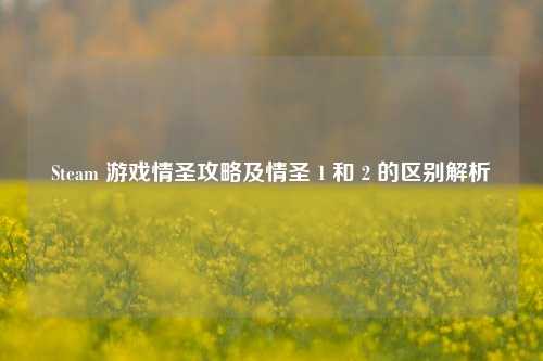 Steam 游戏情圣攻略及情圣 1 和 2 的区别解析