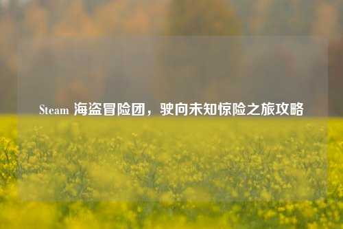 Steam 海盗冒险团,驶向未知惊险之旅攻略