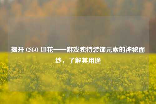 揭开 CSGO 印花——游戏独特装饰元素的神秘面纱,了解其用途