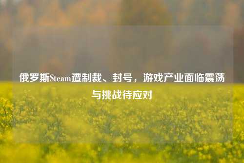 俄罗斯Steam遭制裁、封号,游戏产业面临震荡与挑战待应对