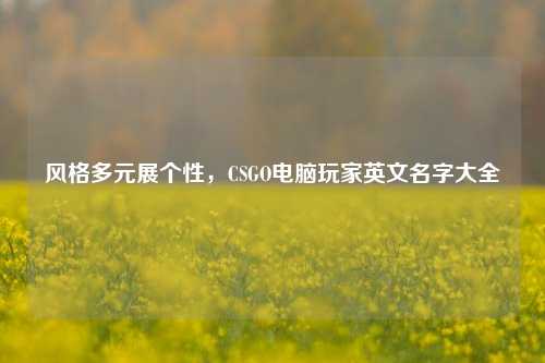 风格多元展个性,CSGO电脑玩家英文名字大全