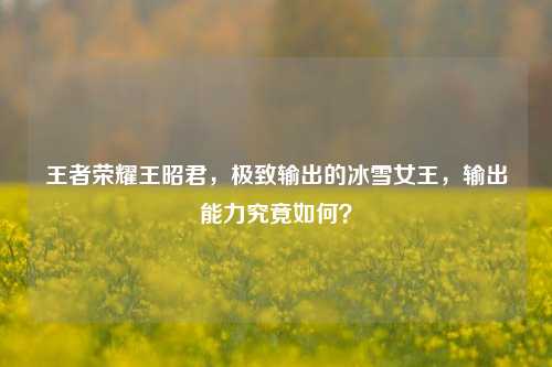 王者荣耀王昭君,极致输出的冰雪女王,输出能力究竟如何?