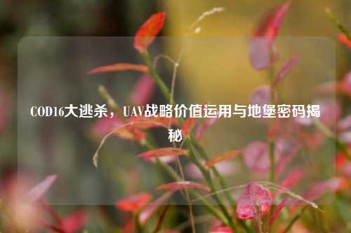 COD16大逃杀,UAV战略价值运用与地堡密码揭秘