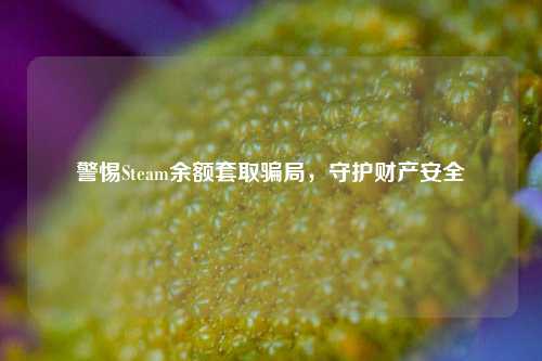 警惕Steam余额套取骗局,守护财产安全