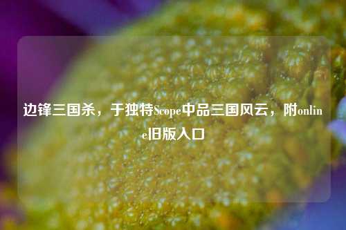 边锋三国杀,于独特Scope中品三国风云,附online旧版入口