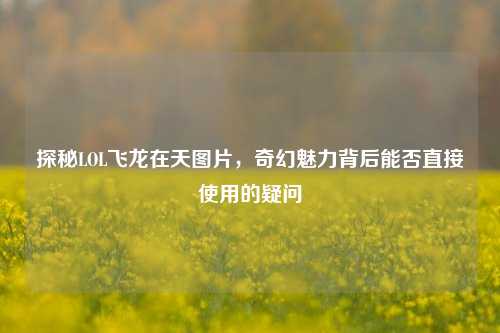 探秘LOL飞龙在天图片,奇幻魅力背后能否直接使用的疑问