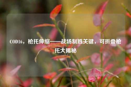 COD16,枪托伸缩——战场制胜关键,可折叠枪托大揭秘