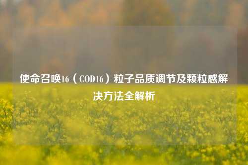 使命召唤16(COD16)粒子品质调节及颗粒感解决 全解析