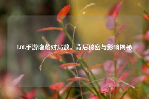 LOL手游隐藏对局数,背后秘密与影响揭秘