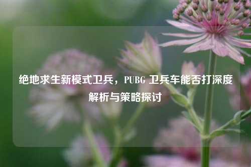 绝地求生新模式卫兵,PUBG 卫兵车能否打深度解析与策略探讨
