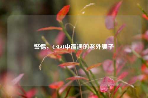 警惕,CSGO中遭遇的老外骗子