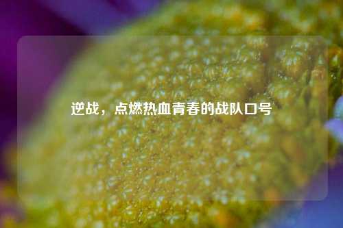 逆战,点燃热血青春的战队口号