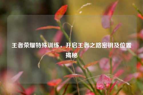 王者荣耀特殊训练,开启王者之路密钥及位置揭秘