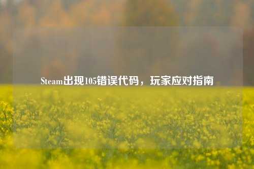 Steam出现105错误代码,玩家应对指南