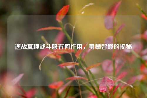 逆战真理战斗服有何作用,勇攀智巅的揭秘