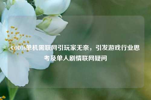 COD16单机需联网引玩家无奈,引发游戏行业思考及单人剧情联网疑问