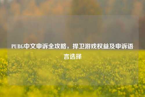 PUBG中文申诉全攻略,捍卫游戏权益及申诉语言选择