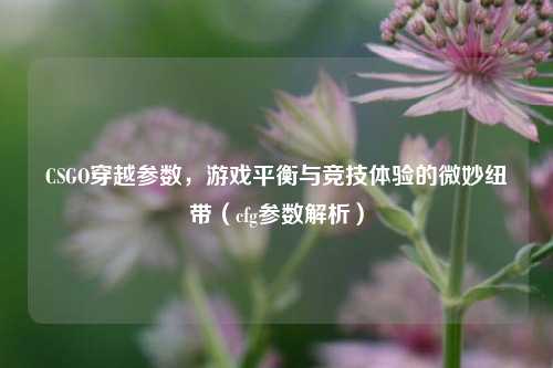 CSGO穿越参数,游戏平衡与竞技体验的微妙纽带(cfg参数解析)