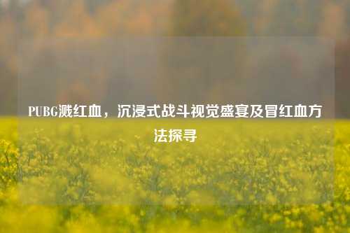 PUBG溅红血,沉浸式战斗视觉盛宴及冒红血 探寻