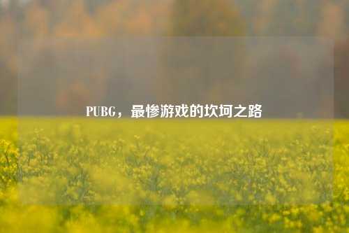 PUBG,最惨游戏的坎坷之路