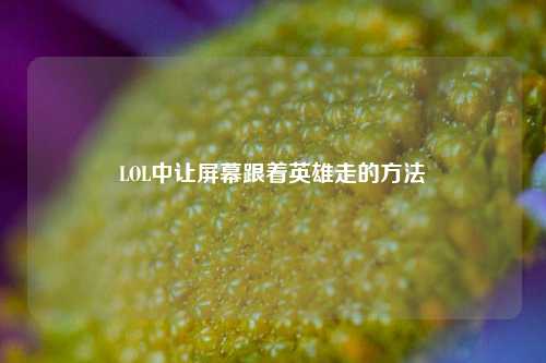 LOL中让屏幕跟着英雄走的