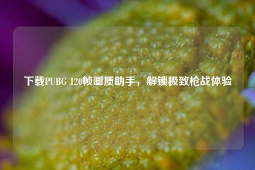 下载PUBG 120帧画质助手,解锁极致枪战体验