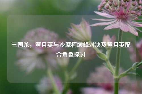 三国杀,黄月英与沙摩柯巅峰对决及黄月英配合角色探讨