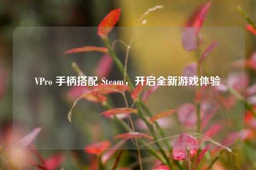 VPro 手柄搭配 Steam,开启全新游戏体验