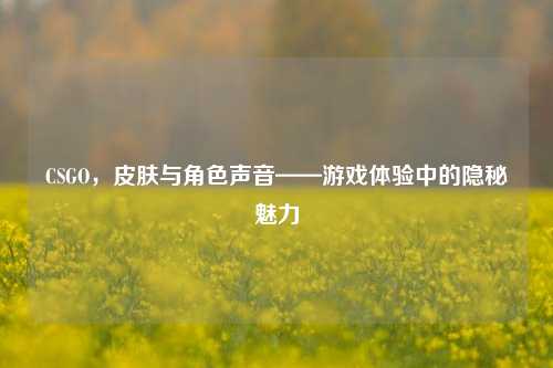 CSGO,皮肤与角色声音——游戏体验中的隐秘魅力