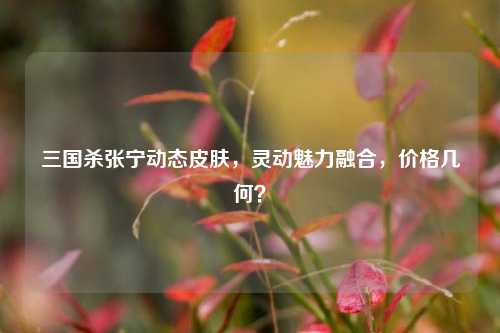 三国杀张宁动态皮肤,灵动魅力融合,价格几何?