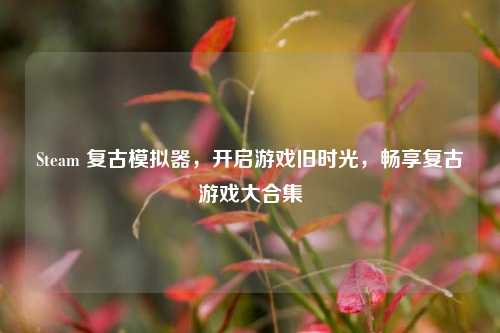 Steam 复古模拟器,开启游戏旧时光,畅享复古游戏大合集