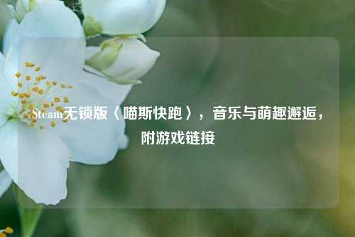 Steam无锁版〈喵斯快跑〉,音乐与萌趣邂逅,附游戏链接