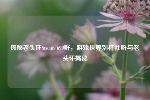 探秘老头环Steam 699群,游戏世界别样社群与老头环揭秘