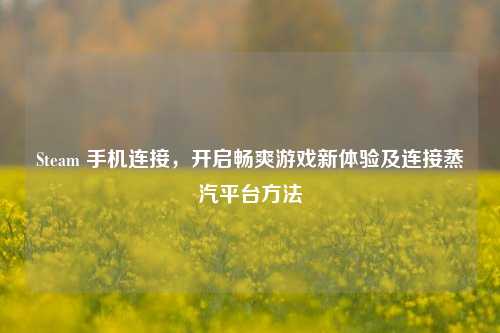 Steam 手机连接,开启畅爽游戏新体验及连接蒸汽平台