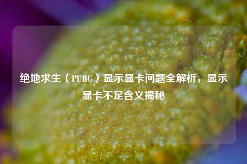 绝地求生(PUBG)显示显卡问题全解析,显示显卡不足含义揭秘