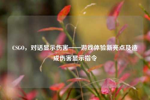 CSGO,对话显示伤害——游戏体验新亮点及造成伤害显示指令