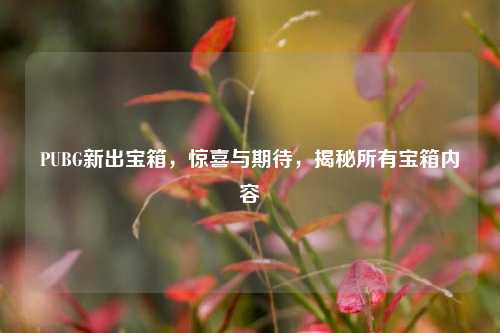 PUBG新出宝箱,惊喜与期待,揭秘所有宝箱内容