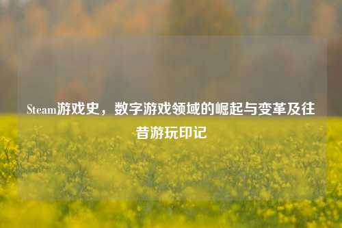 Steam游戏史,数字游戏领域的崛起与变革及往昔游玩印记