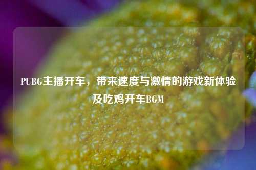 PUBG主播开车,带来速度与***的游戏新体验及吃鸡开车BGM