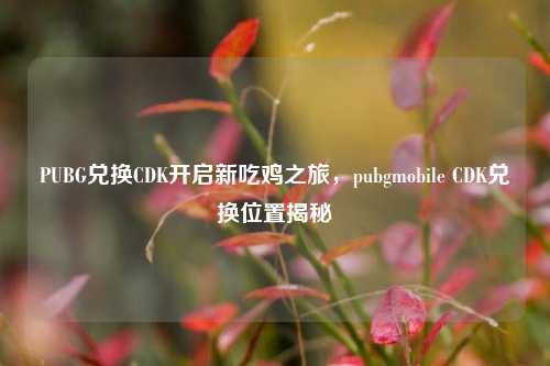 PUBG兑换CDK开启新吃鸡之旅,pubgmobile CDK兑换位置揭秘