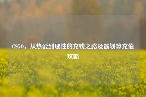 CSGO,从热爱到理性的充钱之路及最划算充值攻略
