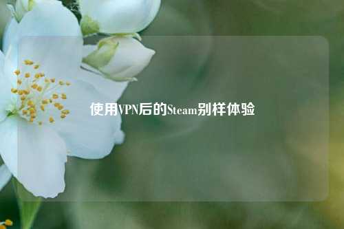 使用VPN后的Steam别样体验