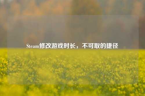 Steam修改游戏时长,不可取的捷径