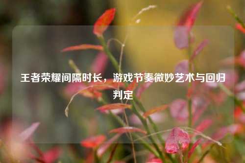 王者荣耀间隔时长,游戏节奏微妙艺术与回归判定